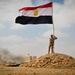 Egypt hosts 14 nations for Bright Star 17 military demonstration
