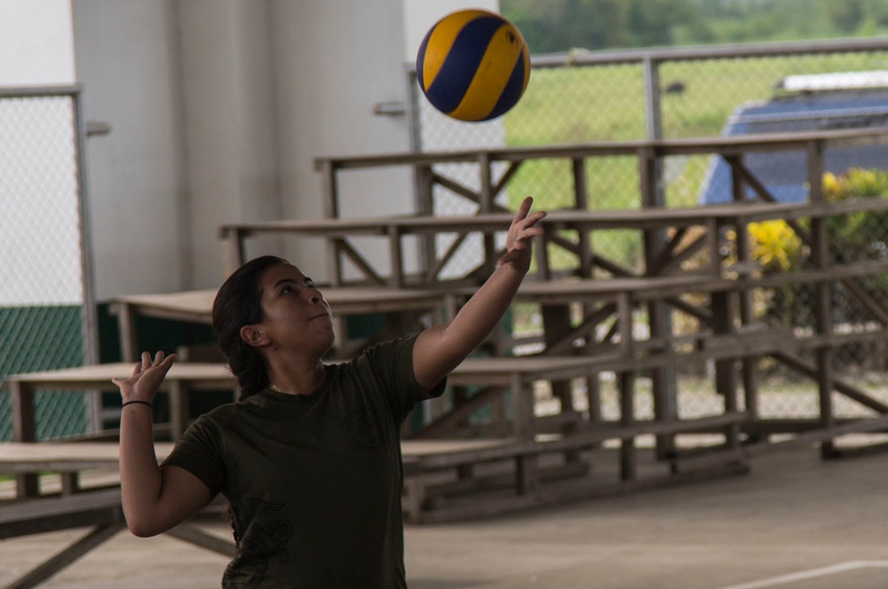 Volleyball