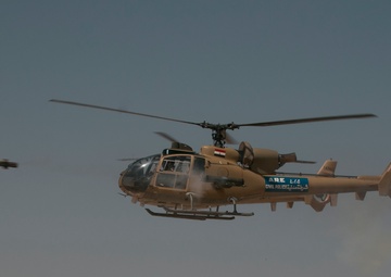 From Kuwait to Cairo: Cavalry Troopers strengthen partnership, interoperability during Exercise Bright Star