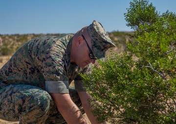 NREA gets a 'headstart' on saving Tortoises