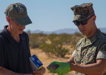 NREA gets a 'headstart' on saving Tortoises