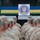 The image shows military personnel in camouflage uniforms assembled in formation at the Rapid Trident 2017 multinational military exercise. A sign bearing the exercise logo, the Ukrainian trident emblem, and multiple national flags is displayed against a Ukrainian flag (blue and yellow) backdrop. The subtitle reads 'Partnership - Security - Assurance' in both English and Ukrainian (Партнерство • Безпека • Впевненість).