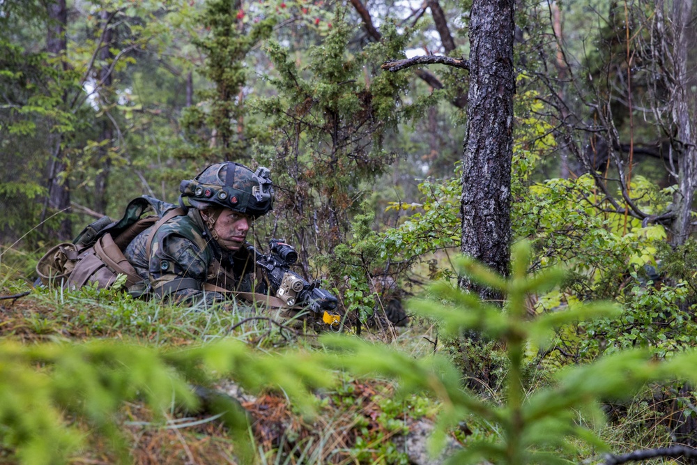 Marines participate in Exercise Aurora 17 in Sweden