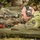 European Best Sniper Squad Competition