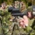 European Best Sniper Squad Competition