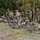 European Best Sniper Squad Competition