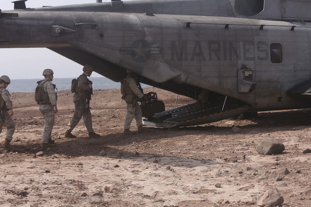 CLB-15: Water Purification during Alligator Dagger
