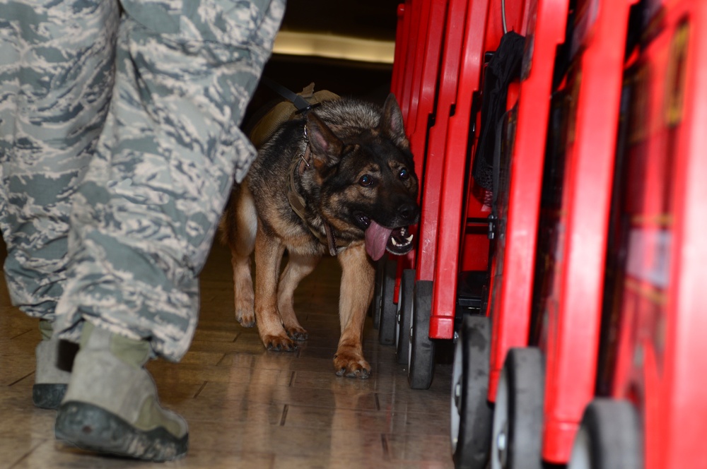 MWD handlers train with local law enforcement