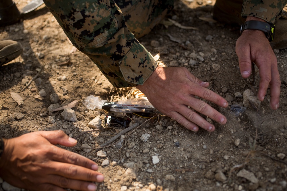 SPMAGTF-CR-AF Marines Participate in Lisa Azul