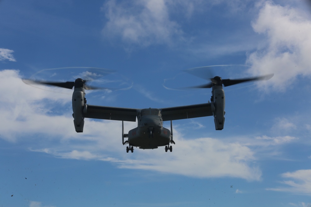 1st Battalion, 8th Marines conduct simulated TRAP mission