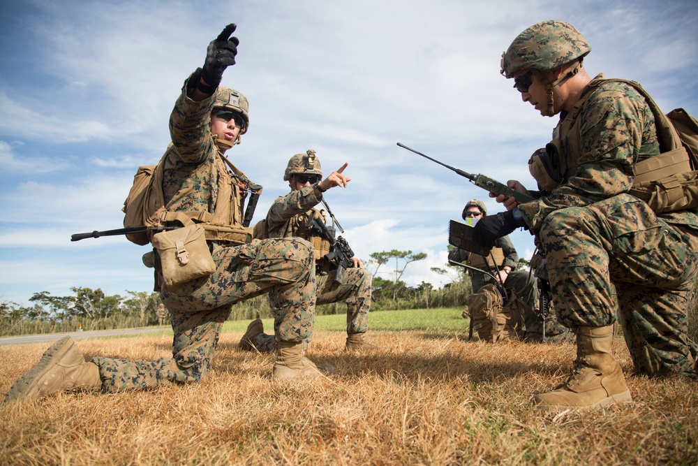 1st Battalion, 8th Marines conduct simulated TRAP mission