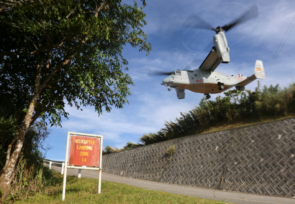 1st Battalion, 8th Marines conduct simulated TRAP mission