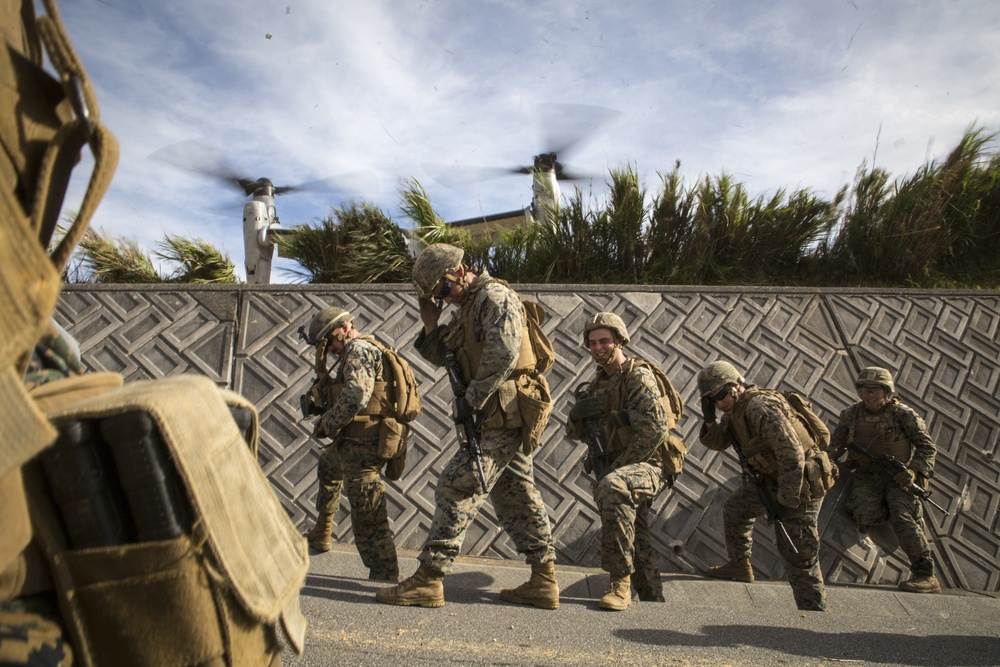 1st Battalion, 8th Marines conduct simulated TRAP mission