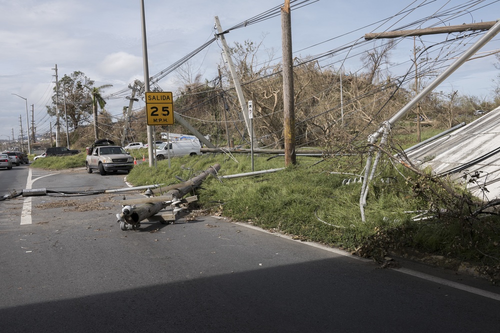 Widespread Devastation in Puerto Rico in the Aftermath of Hurricane Maria