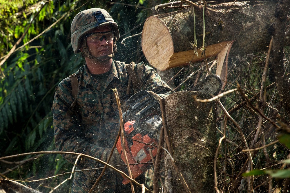 BLT 2/6, Sailors conduct route clearing in Ceiba, Puerto Rico