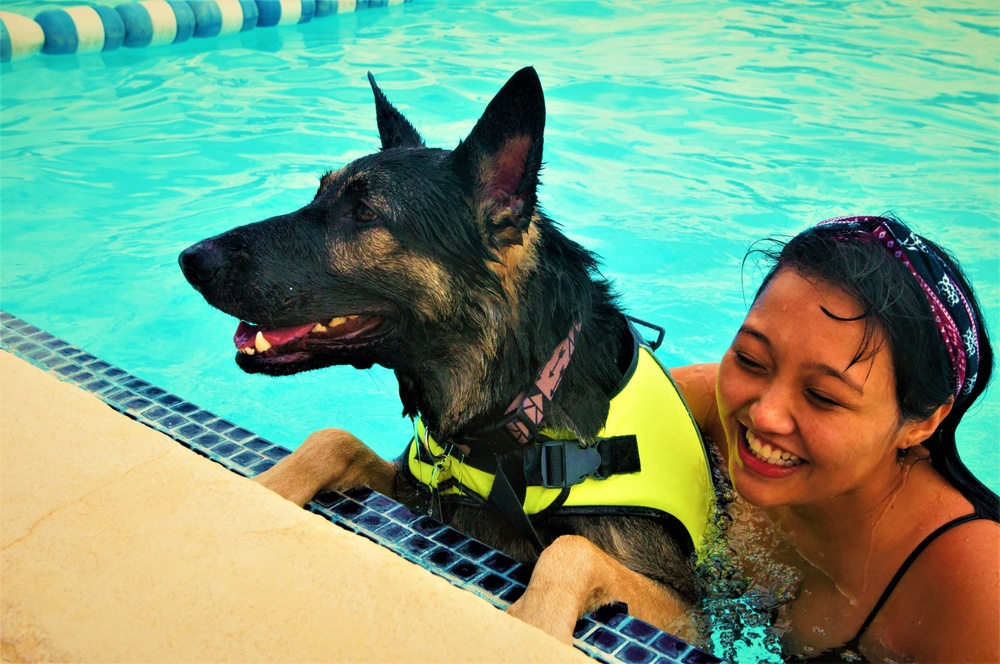 Doggy Swim Day