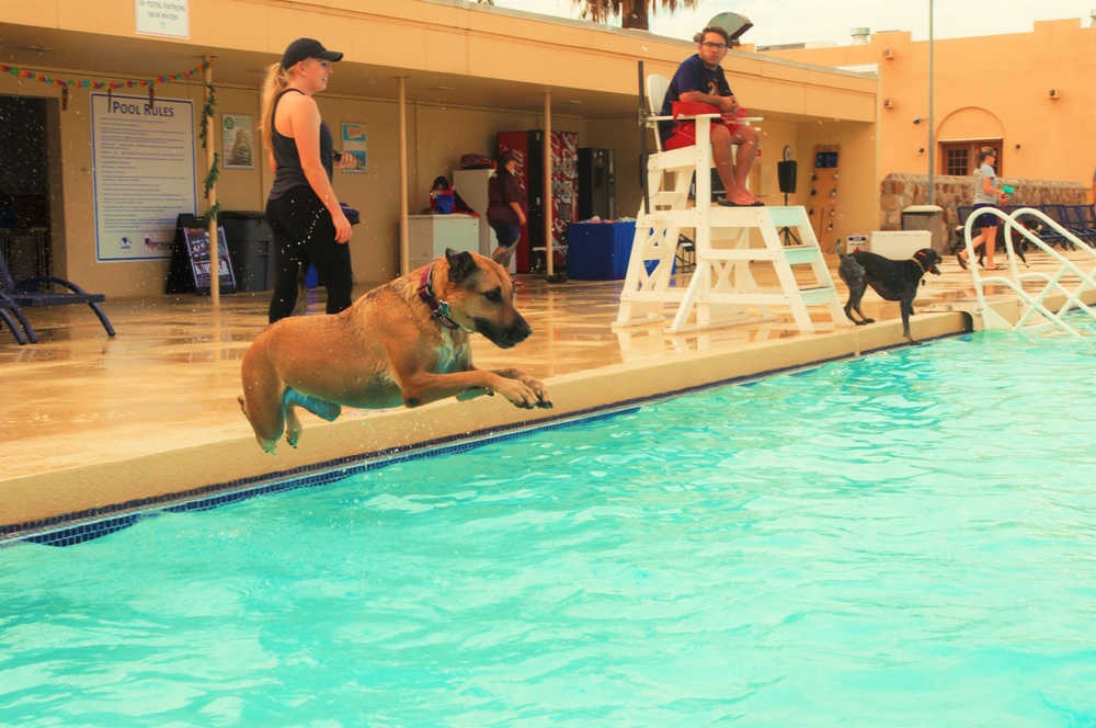 Doggy Swim Day