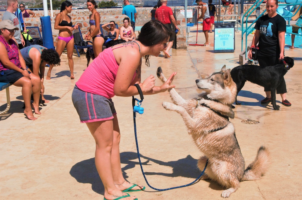 Doggy Swim Day