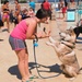 Doggy Swim Day