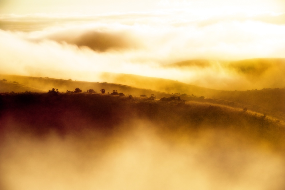 DLIFLC Platoon Sergeant of the Year