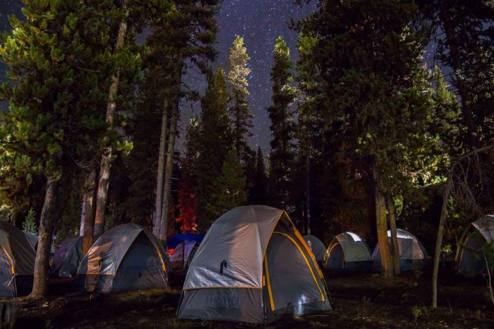 Nights Under the Oregon Stars