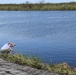 Herbert Hoover Dike: Post Storm Inspection