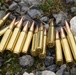 European Best Sniper Squad Competition