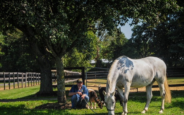 Hoof Prints on the Heart