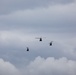 Hueys perform formation flight