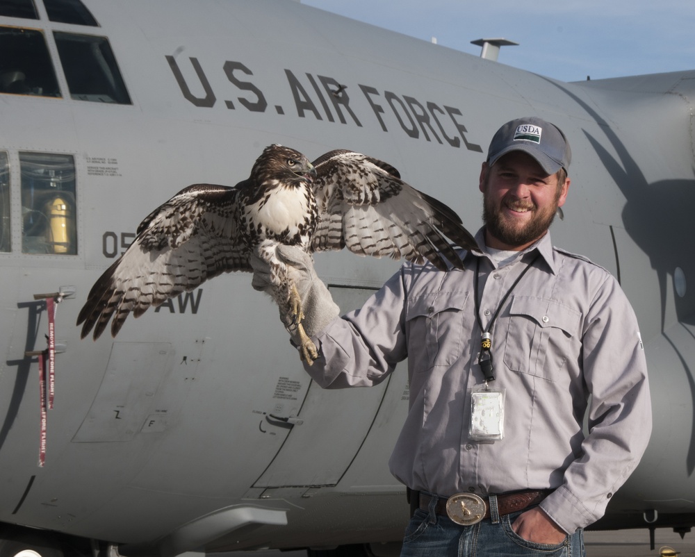Wildlife Biologist Keeps Nevada Air Guard and Civilian Aircraft Safe from Raptors