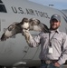 Wildlife Biologist Keeps Nevada Air Guard and Civilian Aircraft Safe from Raptors