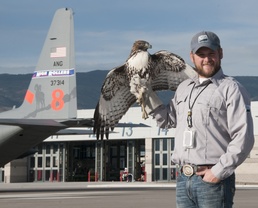 Wildlife Biologist Keeps Nevada Air Guard and Civilian Aircraft Safe from Raptors