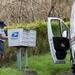 US Postal Service Delivers Mail to Local Residents