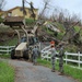 190th EN BN Goes on Road Clearing After Hurricane Maria