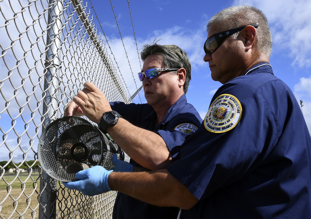 New Snake Traps Deployed on JBPHH