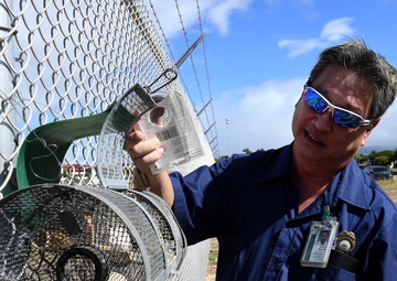 New Snake Traps Deployed on JBPHH