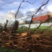 Debris