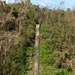 Works at Water Channel System in Isabela