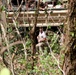 Works at Water Channel System in Isabela