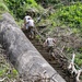 Works at Water Channel System in Isabela
