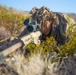 RSTAC Experimental Sniper Company