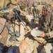 RSTAC Experimental Sniper Company