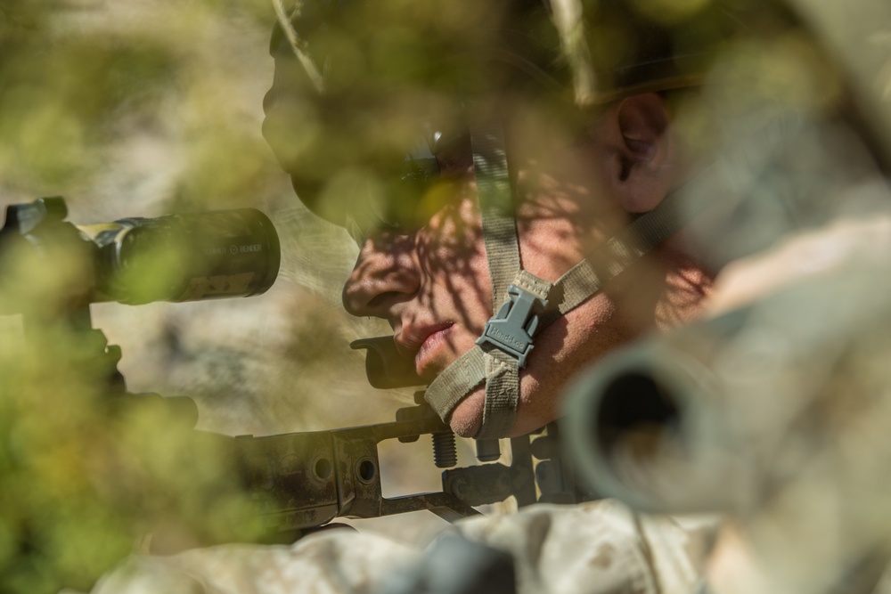 RSTAC Experimental Sniper Company