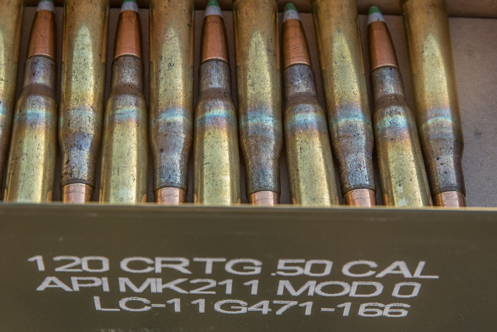 RSTAC Experimental Sniper Company