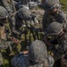 Combat Effective: 1/10 conducts Marine Corps Combat Readiness Evaluation