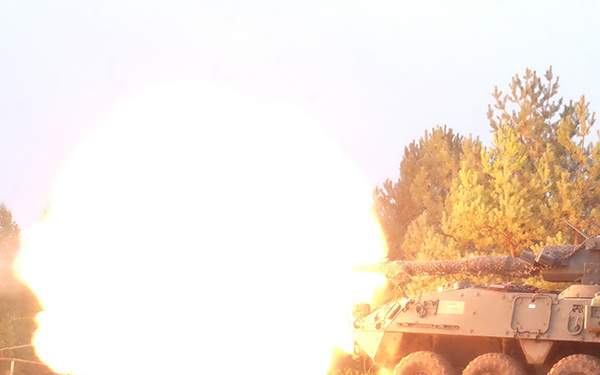Battle Group Poland Troop Live Fire