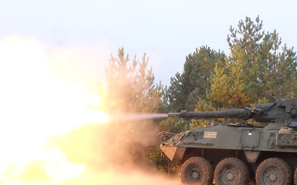 Battle Group Poland Troop Live Fire