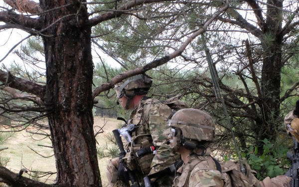 Battle Group Poland Troop Live Fire