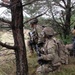 Battle Group Poland Troop Live Fire