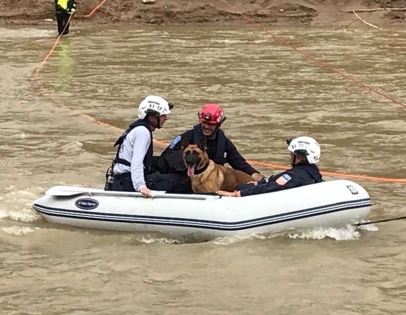 FEMA NY-TF 1 Working Dogs